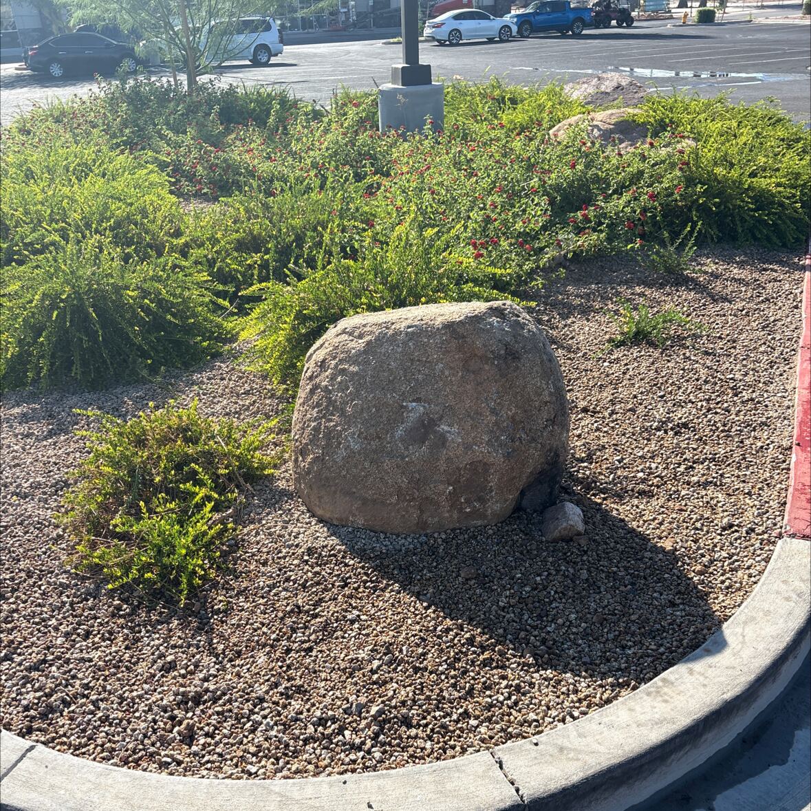 Finished commercial landscape planter with boulders and desert plants