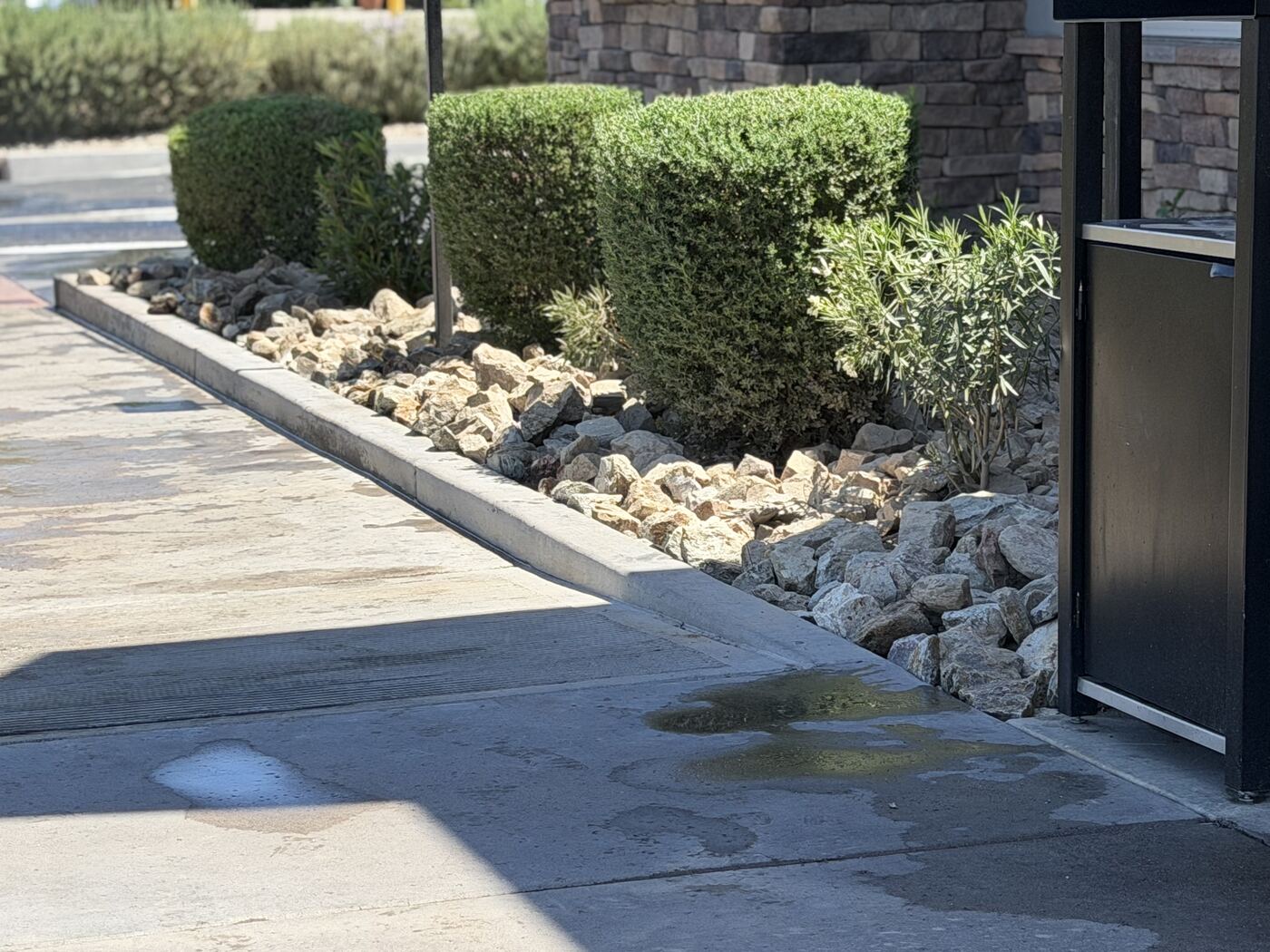 Manicured hedges and property maintenance