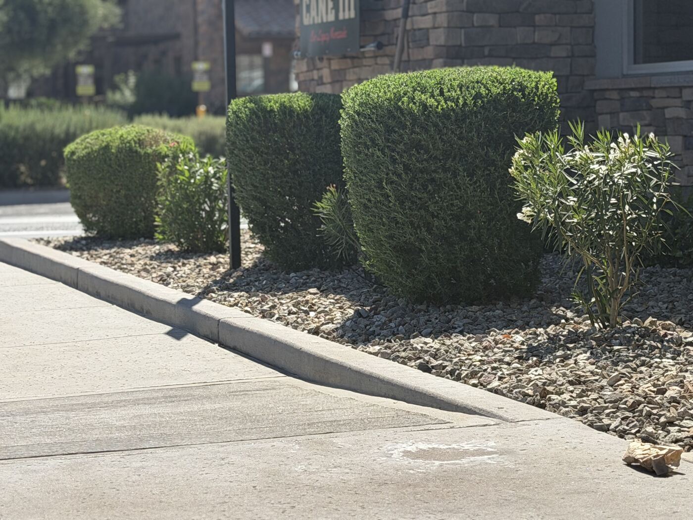 Manicured hedge row along commercial sidewalk