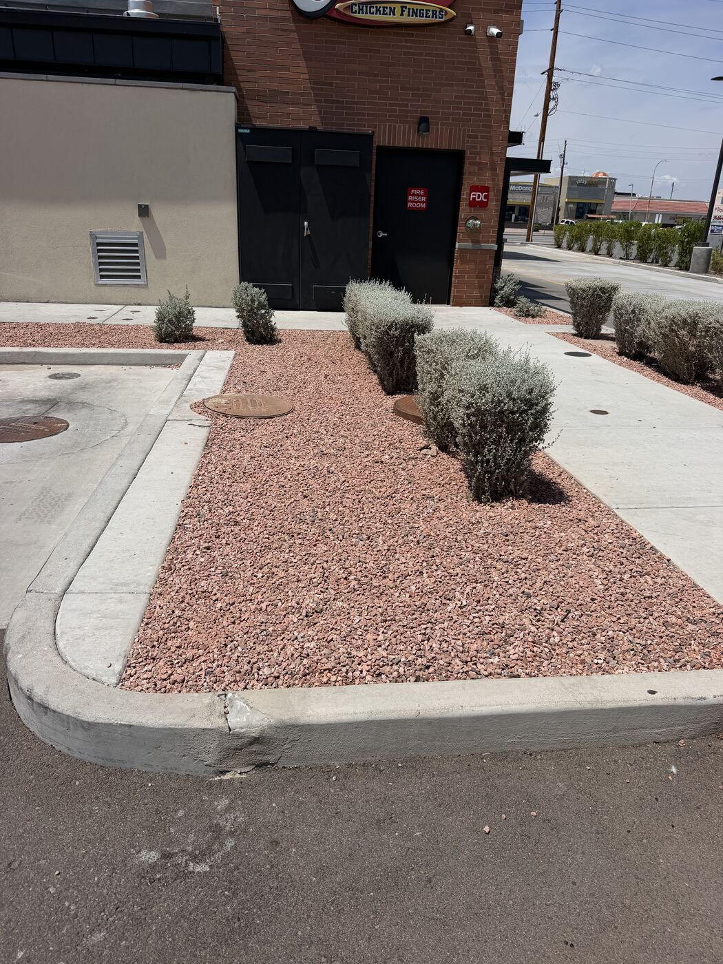 Drought-tolerant planter bed with rosemary shrubs